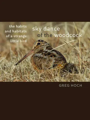 Cover of Sky Dance of the Woodcock