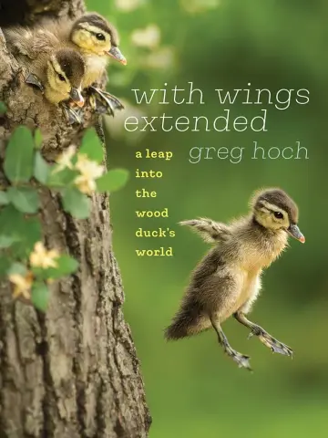 Cover of With Wings Extended