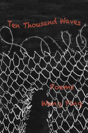 Cover of Ten Thousand Waves