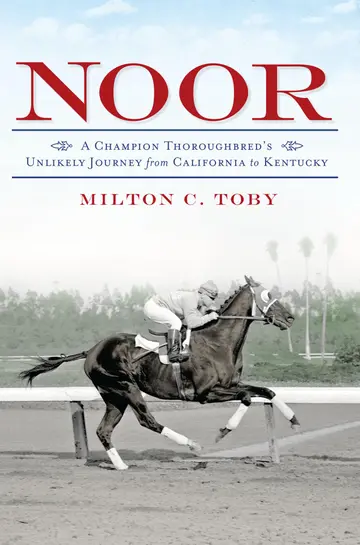 Cover of Noor