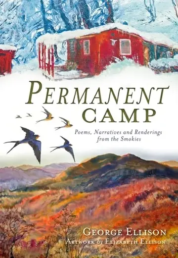 Cover of Permanent Camp