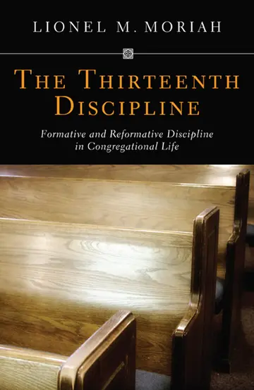 Cover of The Thirteenth Discipline