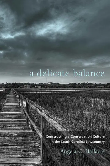 Cover of A Delicate Balance