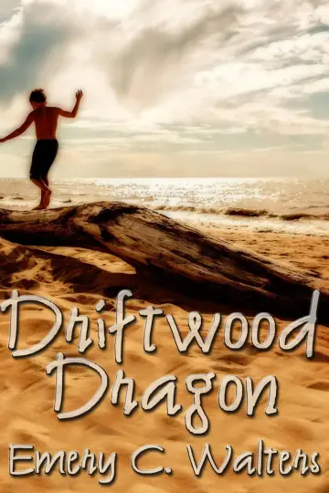 Cover of Driftwood Dragon