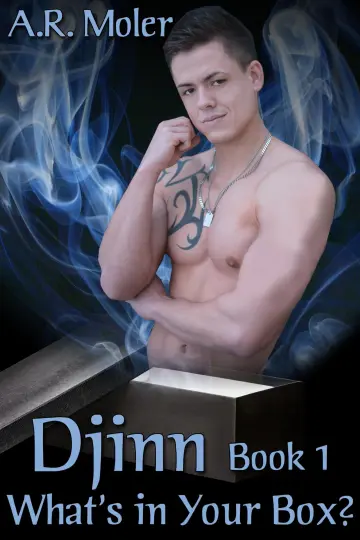 Cover of Djinn Book 1