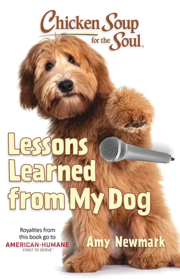 Cover of Chicken Soup for the Soul