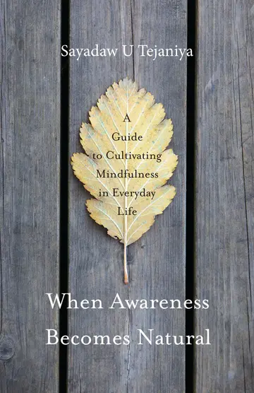 Cover of When Awareness Becomes Natural