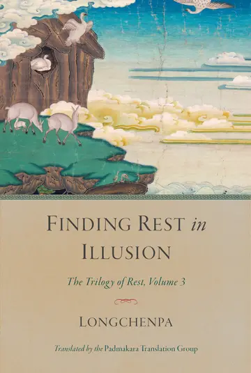 Cover of Finding Rest in Illusion