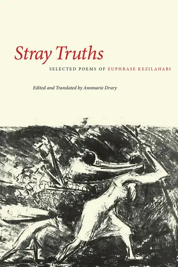 Cover of Stray Truths