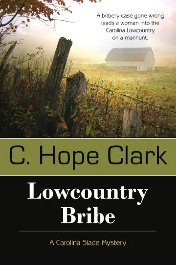 Cover of Lowcountry Bribe