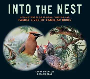Cover of Into the Nest
