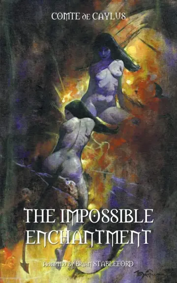 Cover of The Impossible Enchantment