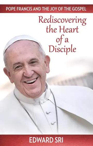 Cover of Pope Francis and the Joy of the Gospel