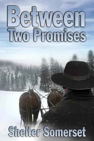 Cover of Between Two Promises