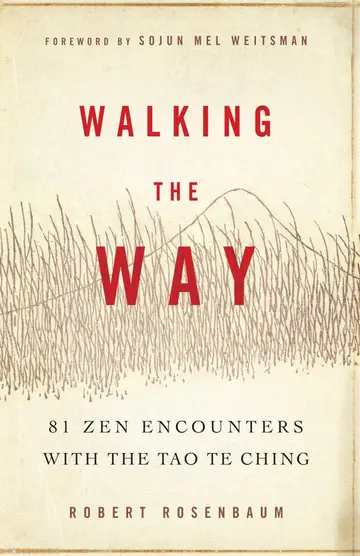 Cover of Walking the Way