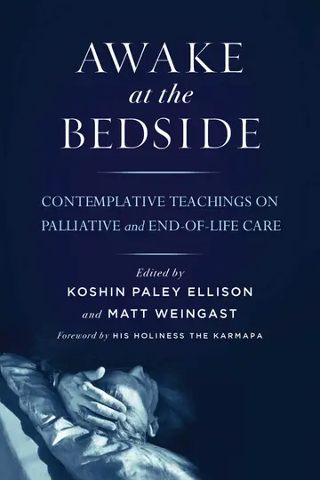 Cover of Awake at the Bedside