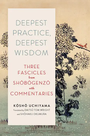 Cover of Deepest Practice, Deepest Wisdom