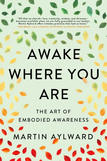 Cover of Awake Where You Are