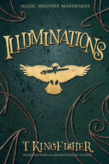 Cover of Illuminations