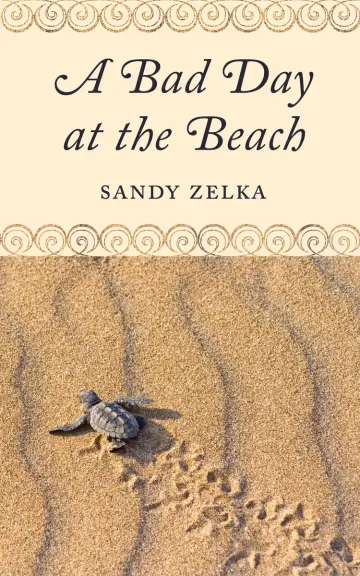 Cover of A Bad Day at the Beach