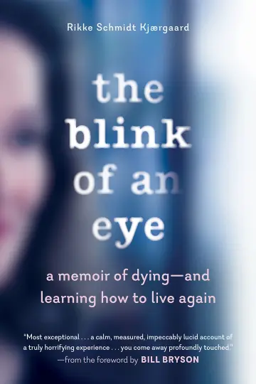 Cover of The Blink of an Eye