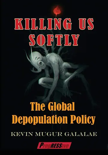 Cover of Killing Us Softly