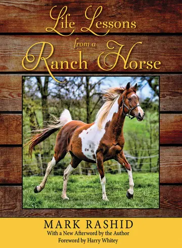 Cover of Life Lessons from a Ranch Horse