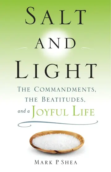 Cover of Salt and Light