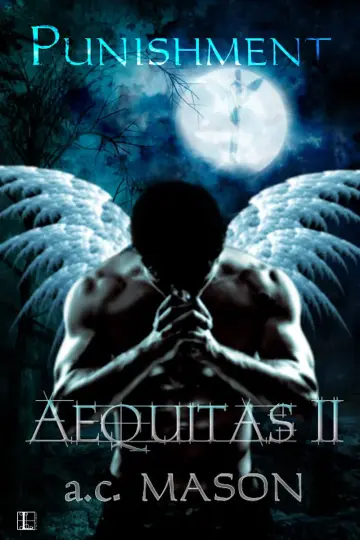 Cover of Aequitas II Punishment