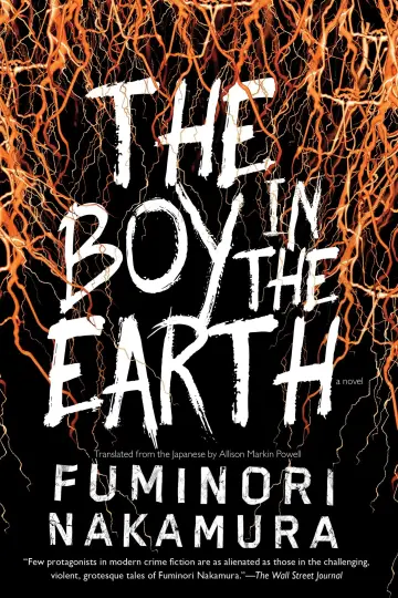 Cover of The Boy in the Earth