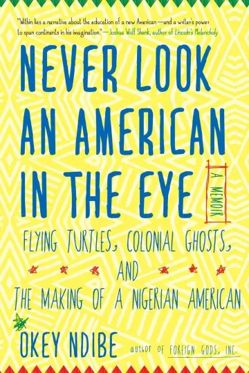 Cover of Never Look an American in the Eye