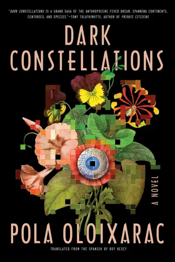 Cover of Dark Constellations