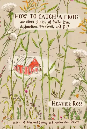 Cover of How to Catch a Frog
