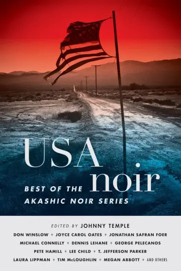 Cover of USA Noir
