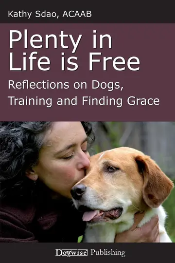 Cover of Plenty in Life Is Free