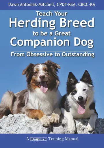 Cover of Teach Your Herding Breed to Be a Great Companion Dog, from Obsessive to Outstanding