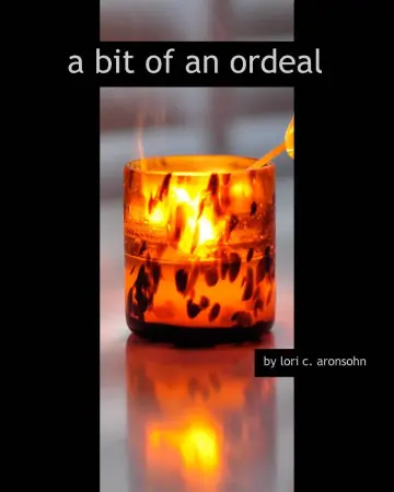 Cover of A Bit of an Ordeal