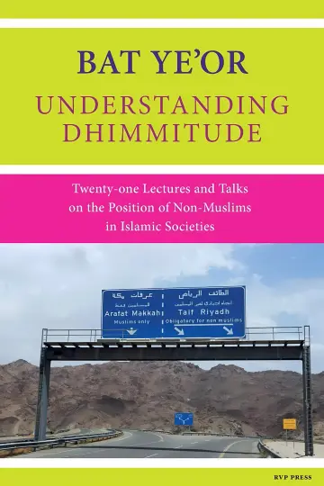 Cover of Understanding Dhimmitude