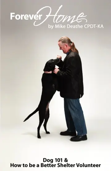 Cover of Forever Home