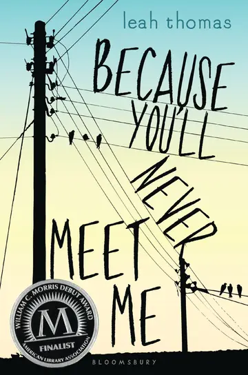 Cover of Because You'll Never Meet Me