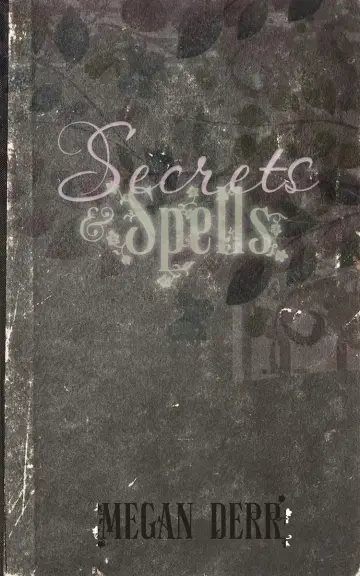 Cover of Secrets & Spells