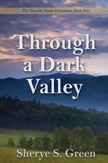 Cover of Through a Dark Valley