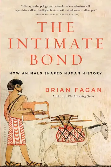 Cover of Intimate Bond