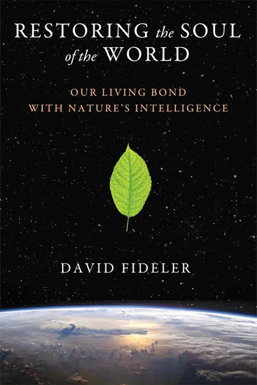 Cover of Restoring the Soul of the World