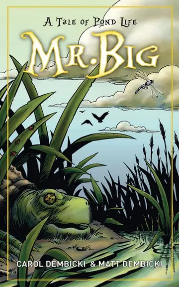 Cover of Mr. Big