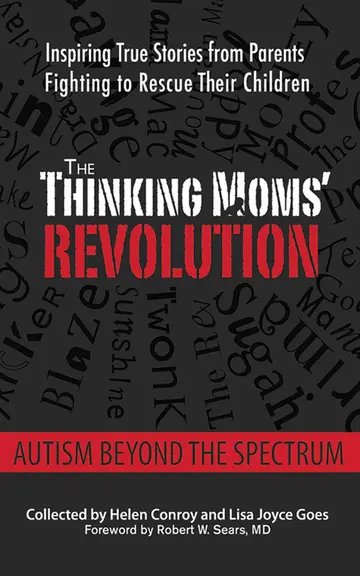 Cover of The Thinking Moms' Revolution