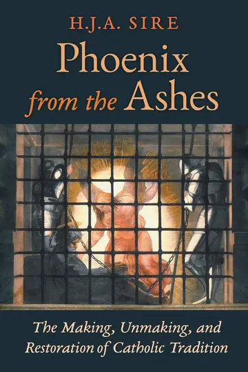Cover of Phoenix from the Ashes