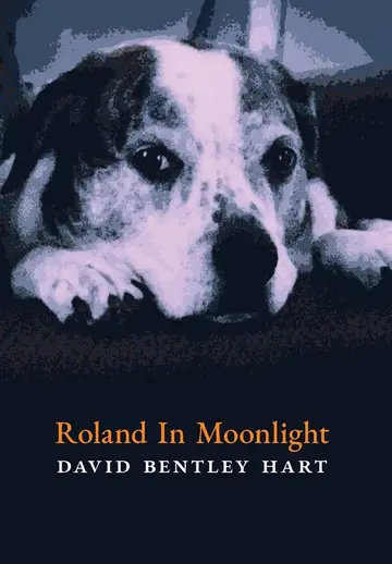 Cover of Roland in Moonlight