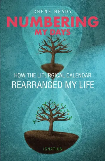 Cover of Numbering My Days