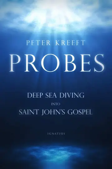 Cover of Probes